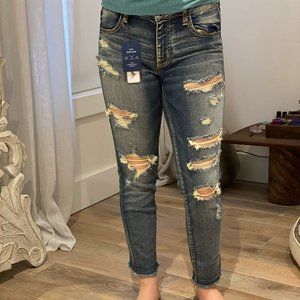 American Eagle Cropped Skinny Jeans